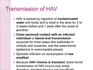 Transmission of HAV
 HAV is spread by ingestion of contaminated
water and foods and is shed in the stool for 2 to
3 weeks before and 1 week after the onset of
jaundice.
 Close personal contact with an infected
individual or faecal-oral transmission
accounts for most cases (the outbreaks in
schools and nurseries, and the water-borne
epidemics in overcrowded places)
 Sporadic infection on consumption of raw
shellfish
 Because HAV viremia is transient, blood borne
transmission of HAV occurs only rarely;
 