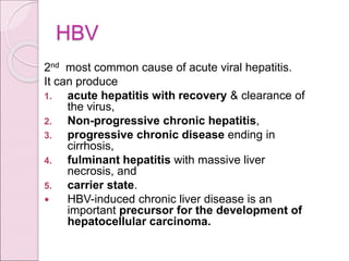 HBV
2nd most common cause of acute viral hepatitis.
It can produce
1. acute hepatitis with recovery & clearance of
the virus,
2. Non-progressive chronic hepatitis,
3. progressive chronic disease ending in
cirrhosis,
4. fulminant hepatitis with massive liver
necrosis, and
5. carrier state.
 HBV-induced chronic liver disease is an
important precursor for the development of
hepatocellular carcinoma.
 