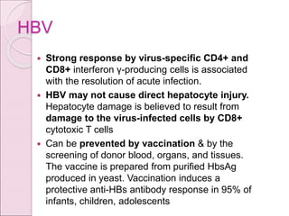 HBV
 Strong response by virus-specific CD4+ and
CD8+ interferon γ-producing cells is associated
with the resolution of acute infection.
 HBV may not cause direct hepatocyte injury.
Hepatocyte damage is believed to result from
damage to the virus-infected cells by CD8+
cytotoxic T cells
 Can be prevented by vaccination & by the
screening of donor blood, organs, and tissues.
The vaccine is prepared from purified HbsAg
produced in yeast. Vaccination induces a
protective anti-HBs antibody response in 95% of
infants, children, adolescents
 