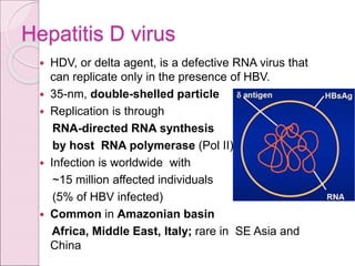 Hepatitis D virus
 HDV, or delta agent, is a defective RNA virus that
can replicate only in the presence of HBV.
 35-nm, double-shelled particle
 Replication is through
RNA-directed RNA synthesis
by host RNA polymerase (Pol II)
 Infection is worldwide with
~15 million affected individuals
(5% of HBV infected)
 Common in Amazonian basin
Africa, Middle East, Italy; rare in SE Asia and
China
 