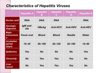 Characteristics of Hepatitis Viruses
Hepatitis A
Hepatitis
B
Hepatitis
C
Hepatitis
D
Hepatitis E
Nucleic acid RNA DNA RNA * RNA
Serologic
diagnosis
IgM anti-
HA
HBsAg Anti-HCV Anti-HDV Anti-HEV
Major
transmissio
n
Fecal–oral Blood Blood Needle Water
Incubation
period
(days)
15–45 40–180 20–120 30–180 14–60
Epidemics Yes No No No Yes
Chronicity No Yes Yes Yes No
Liver
cancer
No Yes Yes Yes No
 