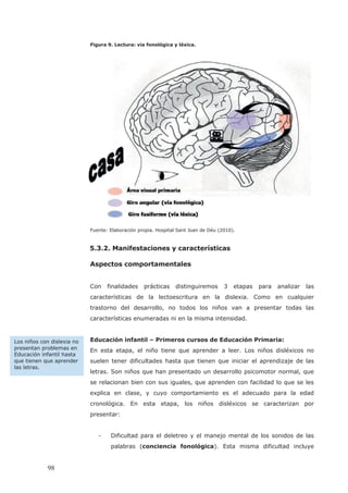 Figura 9. Lectura: via fonológica y léxica.
Fuente: Elaboración propia. Hospital Sant Joan de Déu (2010).
5.3.2. Manifestaciones y características
Aspectos comportamentales
Con finalidades prácticas distinguiremos 3 etapas para analizar las
características de la lectoescritura en la dislexia. Como en cualquier
trastorno del desarrollo, no todos los niños van a presentar todas las
características enumeradas ni en la misma intensidad.
Educación infantil – Primeros cursos de Educación Primaria:
En esta etapa, el niño tiene que aprender a leer. Los niños disléxicos no
suelen tener dificultades hasta que tienen que iniciar el aprendizaje de las
letras. Son niños que han presentado un desarrollo psicomotor normal, que
se relacionan bien con sus iguales, que aprenden con facilidad lo que se les
explica en clase, y cuyo comportamiento es el adecuado para la edad
cronológica. En esta etapa, los niños disléxicos se caracterizan por
presentar:
- Dificultad para el deletreo y el manejo mental de los sonidos de las
palabras (conciencia fonológica). Esta misma dificultad incluye
Los niños con dislexia no
presentan problemas en
Educación infantil hasta
que tienen que aprender
las letras.
98
 