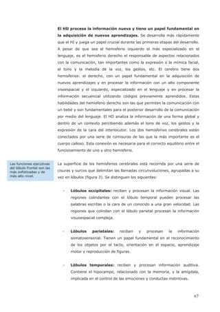 El HD procesa la información nueva y tiene un papel fundamental en
la adquisición de nuevos aprendizajes. Se desarrolla más rápidamente
que el HI y juega un papel crucial durante las primeras etapas del desarrollo.
A pesar de que sea el hemisferio izquierdo el más especializado en el
lenguaje, es el hemisferio derecho el responsable de aspectos relacionados
con la comunicación, tan importantes como la expresión o la mímica facial,
el tono y la melodía de la voz, los gestos, etc. El cerebro tiene dos
hemisferios: el derecho, con un papel fundamental en la adquisición de
nuevos aprendizajes y en procesar la información con un alto componente
visoespacial y el izquierdo, especializado en el lenguaje y en procesar la
información secuencial utilizando códigos previamente aprendidos. Estas
habilidades del hemisferio derecho son las que permiten la comunicación con
un bebé y son fundamentales para el posterior desarrollo de la comunicación
por medio del lenguaje. El HD analiza la información de una forma global y
dentro de un contexto percibiendo además el tono de voz, los gestos y la
expresión de la cara del interlocutor. Los dos hemisferios cerebrales están
conectados por una serie de comisuras de las que la más importante es el
cuerpo calloso. Esta conexión es necesaria para el correcto equilibrio entre el
funcionamiento de uno y otro hemisferio.
La superficie de los hemisferios cerebrales está recorrida por una serie de
cisuras y surcos que delimitan las llamadas circunvoluciones, agrupadas a su
vez en lóbulos (figura 3). Se distinguen los siguientes:
- Lóbulos occipitales: reciben y procesan la información visual. Las
regiones colindantes con el lóbulo temporal pueden procesar las
palabras escritas o la cara de un conocido a una gran velocidad. Las
regiones que colindan con el lóbulo parietal procesan la información
visuoespacial compleja.
- Lóbulos parietales: reciben y procesan la información
somatosensorial. Tienen un papel fundamental en el reconocimiento
de los objetos por el tacto, orientación en el espacio, aprendizaje
motor y reproducción de figuras.
- Lóbulos temporales: reciben y procesan información auditiva.
Contiene el hipocampo, relacionado con la memoria, y la amígdala,
implicada en el control de las emociones y conductas instintivas.
Las funciones ejecutivas
del lóbulo frontal son las
más sofisticadas y de
más alto nivel.
67
 