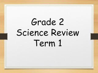 Grade 2
Science Review
Term 1
 
