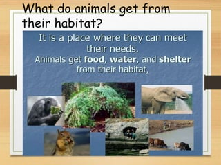 Grade 2 Science Review Term 1.ppt