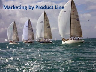 19
Marketing by Product Line
 