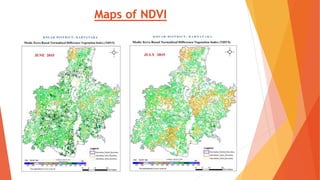 Maps of NDVI
 