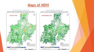Maps of NDVI
 