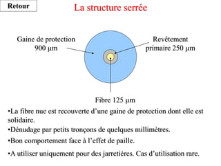 La structure serrée
Gaine de protection
900 µm
Fibre 125 µm
Revêtement
primaire 250 µm
•La fibre nue est recouverte d’une gaine de protection dont elle est
solidaire.
•Dénudage par petits tronçons de quelques millimètres.
•A utiliser uniquement pour des jarretières. Cas d’utilisation rare.
Retour
•Bon comportement face à l’effet de paille.
 