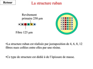 La structure ruban
Fibre 125 µm
Revêtement
primaire 250 µm
•La structure ruban est réalisée par juxtaposition de 4, 6, 8, 12
fibres nues collées entre elles par une résine.
•Ce type de structure est dédié à de l’épissure de masse.
Retour
 
