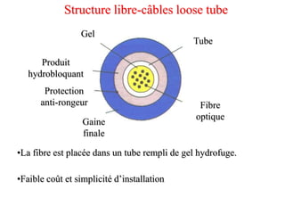 Structure libre-câbles loose tube
•La fibre est placée dans un tube rempli de gel hydrofuge.
•Faible coût et simplicité d’installation
Produit
hydrobloquant
Gel
Protection
anti-rongeur
Gaine
finale
Fibre
optique
Tube
 