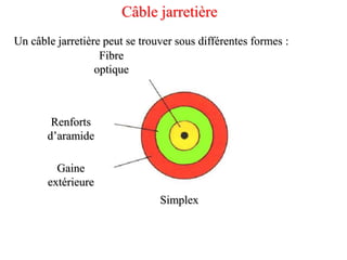 Câble jarretière
Un câble jarretière peut se trouver sous différentes formes :
Simplex
Fibre
optique
Renforts
d’aramide
Gaine
extérieure
 