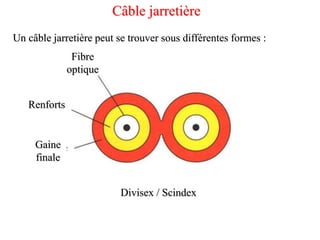 Câble jarretière
Un câble jarretière peut se trouver sous différentes formes :
Divisex / Scindex
Fibre
optique
Renforts
Gaine
finale
 