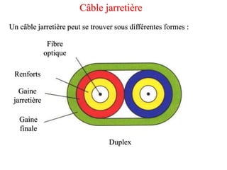 Câble jarretière
Un câble jarretière peut se trouver sous différentes formes :
Duplex
Fibre
optique
Renforts
Gaine
finale
Gaine
jarretière
 