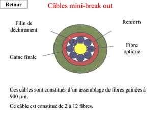 Câbles mini-break out
Ces câbles sont constitués d’un assemblage de fibres gainées à
900 µm.
Ce câble est constitué de 2 à 12 fibres.
Filin de
déchirement
Gaine finale
Fibre
optique
Renforts
Retour
 