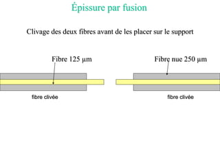fibre clivée
fibre clivée
Clivage des deux fibres avant de les placer sur le support
Épissure par fusion
Fibre 125 µm Fibre nue 250 µm
 