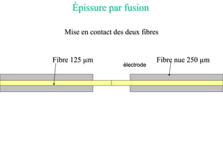 Épissure par fusion
Fibre 125 µm Fibre nue 250 µm
Mise en contact des deux fibres
électrode
 