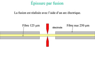 La fusion est réalisée avec l’aide d’un arc électrique.
Épissure par fusion
Fibre 125 µm Fibre nue 250 µm
électrode
 