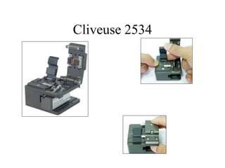 Cliveuse 2534
 