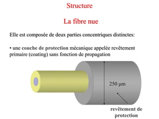 Elle est composée de deux parties concentriques distinctes:
La fibre nue
Elle est composée de deux parties concentriques distinctes:
La fibre nue
• une couche de protection mécanique appelée revêtement
primaire (coating) sans fonction de propagation
250 μm
revêtement de
protection
Structure
 