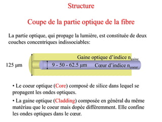 La partie optique, qui propage la lumière, est constituée de deux
couches concentriques indissociables:
• Le coeur optique (Core) composé de silice dans lequel se
propagent les ondes optiques.
• La gaine optique (Cladding) composée en général du même
matériau que le coeur mais dopée différemment. Elle confine
les ondes optiques dans le cœur.
Gaine optique d’indice ngaine
Cœur d’indice ncoeur
9 - 50 - 62.5 μm
125 μm
Coupe de la partie optique de la fibre
Structure
 