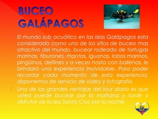  El mundo sub acuático en las Islas Galápagos esta
considerado como uno de los sitios de buceo mas
atractivo del mundo, bucear rodeado de tortugas
marinas, tiburones, mantas, iguanas, lobos marinos,
pingüinos, delfines y a veces hasta con ballenas, le
brindará una experiencia inolvidable. Para poder
recordar cada momento de esta experiencia,
disponemos de servicio de video y fotografía.
 Una de las grandes ventajas del tour diario es que
usted puede bucear por la mañana y tarde y
disfrutar de la isla Santa Cruz por la noche.
 
