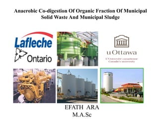Anaerobic Co-digestion Of Organic Fraction Of Municipal
Solid Waste And Municipal Sludge
EFATH ARA
M.A.Sc
 