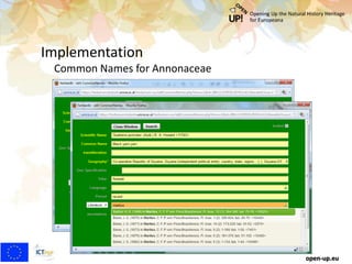 Implementation
Common Names for Annonaceae
open-up.eu
 