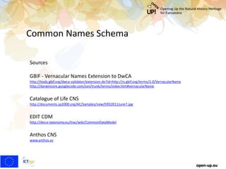 Sources
GBIF - Vernacular Names Extension to DwCA
http://tools.gbif.org/dwca-validator/extension.do?id=http://rs.gbif.org/terms/1.0/VernacularName
http://darwincore.googlecode.com/svn/trunk/terms/index.htm#vernacularName
Catalogue of Life CNS
http://documents.sp2000.org/AC/Samples/new/ERD2011June7.jpg
EDIT CDM
http://dev.e-taxonomy.eu/trac/wiki/CommonDataModel
Anthos CNS
www.anthos.es
Common Names Schema
open-up.eu
 