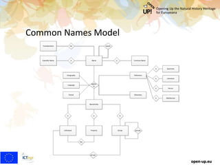 Common Names Model
open-up.eu
 