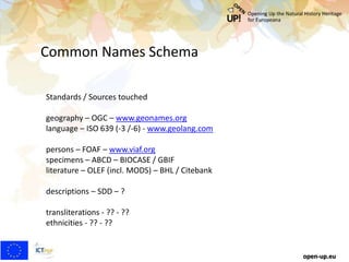Common Names Schema
open-up.eu
Standards / Sources touched
geography – OGC – www.geonames.org
language – ISO 639 (-3 /-6) - www.geolang.com
persons – FOAF – www.viaf.org
specimens – ABCD – BIOCASE / GBIF
literature – OLEF (incl. MODS) – BHL / Citebank
descriptions – SDD – ?
transliterations - ?? - ??
ethnicities - ?? - ??
 