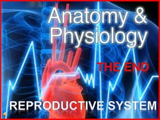 178-Anatomy-Reproductive-System.ppt