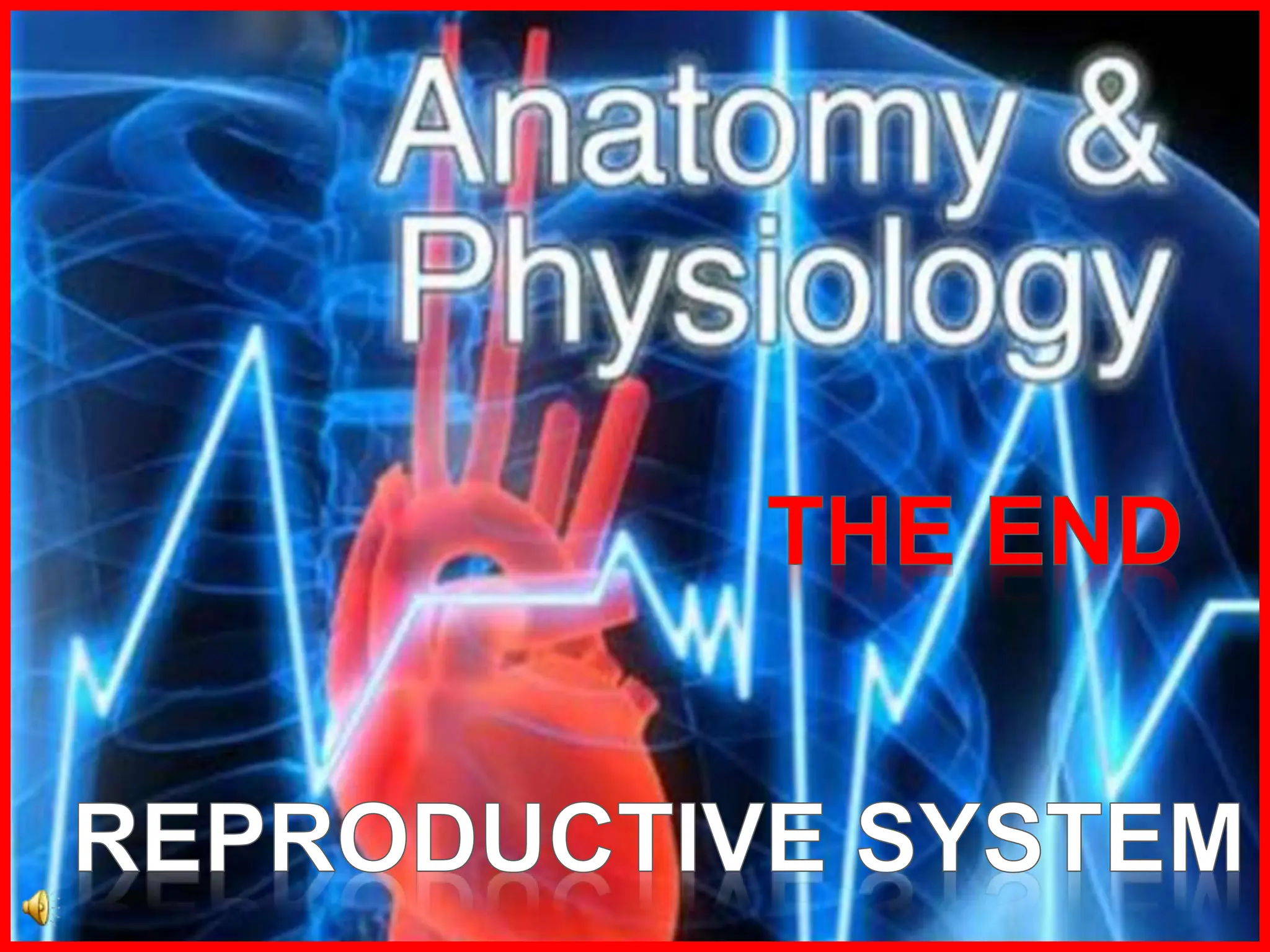 Anatomy-Reproductive-System for grade 10