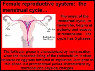 The onset of the
menstrual cycle, or
menarche, begins at
puberty and ceases
at menopause. The
cycle has 3 phases:
The follicular phase is characterized by menstruation,
when the thickened lining of the endometrium is shed
because no egg was fertilized or implanted. Just prior to
this phase is a premenstrual period characterized by
hormonal and physical changes.
 