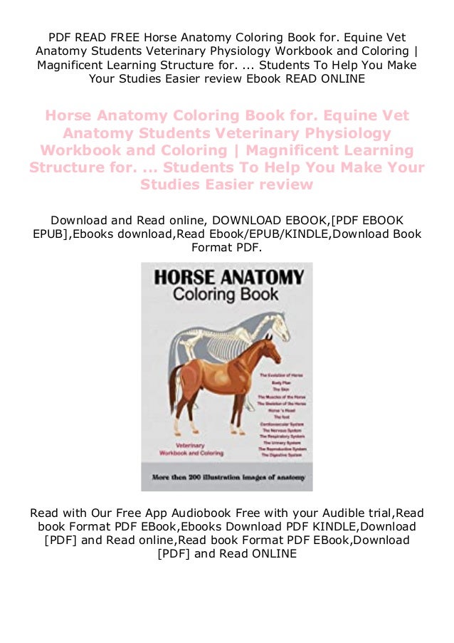 Download Read Best Horse Anatomy Coloring Book For Equine Vet Anatomy Stude