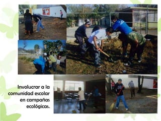 Involucrar a la
comunidad escolar
    en campañas
       ecológicas.
 