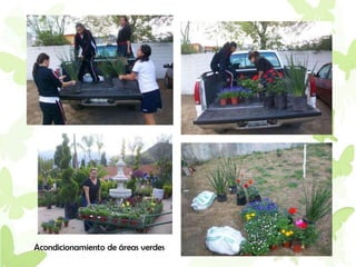 Acondicionamiento de áreas verdes
 