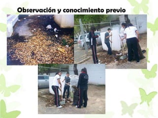 Observación y conocimiento previo
 