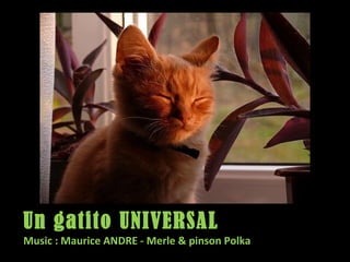 Un gatito UNIVERSAL
Music : Maurice ANDRE - Merle & pinson Polka
 