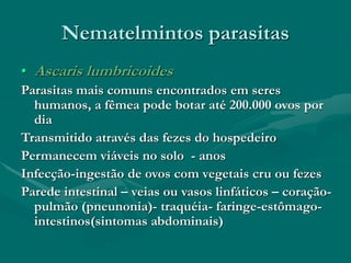 Nematelmintos parasitas
• Ascaris lumbricoides
Parasitas mais comuns encontrados em seres
humanos, a fêmea pode botar até 200.000 ovos por
dia
Transmitido através das fezes do hospedeiro
Permanecem viáveis no solo - anos
Infecção-ingestão de ovos com vegetais cru ou fezes
Parede intestinal – veias ou vasos linfáticos – coração-
pulmão (pneunonia)- traquéia- faringe-estômago-
intestinos(sintomas abdominais)
 