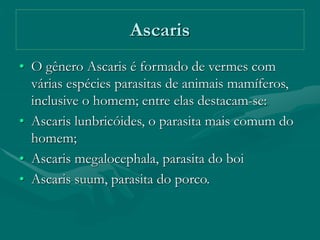 Ascaris
• O gênero Ascaris é formado de vermes com
várias espécies parasitas de animais mamíferos,
inclusive o homem; entre elas destacam-se:
• Ascaris lunbricóides, o parasita mais comum do
homem;
• Ascaris megalocephala, parasita do boi
• Ascaris suum, parasita do porco.
 