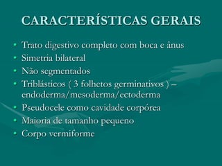 CARACTERÍSTICAS GERAIS
• Trato digestivo completo com boca e ânus
• Simetria bilateral
• Não segmentados
• Triblásticos ( 3 folhetos germinativos ) –
endoderma/mesoderma/ectoderma
• Pseudocele como cavidade corpórea
• Maioria de tamanho pequeno
• Corpo vermiforme
 
