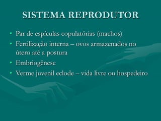SISTEMA REPRODUTOR
• Par de espículas copulatórias (machos)
• Fertilização interna – ovos armazenados no
útero até a postura
• Embriogênese
• Verme juvenil eclode – vida livre ou hospedeiro
 