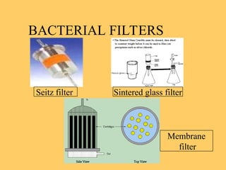 Sterilization-ppt for nursing students ppt | PPT