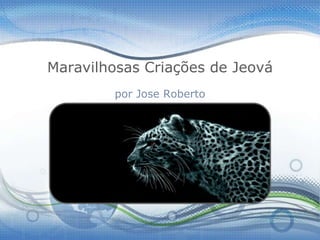 Maravilhosas Criações de Jeová
        por Jose Roberto
 