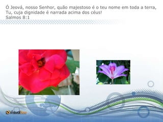 Ó Jeová, nosso Senhor, quão majestoso é o teu nome em toda a terra,
Tu, cuja dignidade é narrada acima dos céus!
Salmos 8:1
 