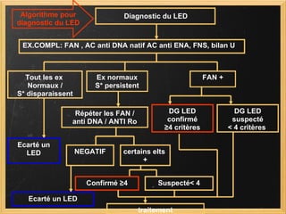 Tout les ex  Normaux / S* disparaissent Ex normaux S* persistent FAN + Ecarté un LED Répéter les FAN / anti DNA / ANTI Ro NEGATIF certains elts  + Ecarté un LED Confirmé ≥4 Suspecté< 4 traitement DG LED confirmé ≥ 4 critères DG LED suspecté < 4 critères  Diagnostic du LED EX.COMPL: FAN , AC anti DNA natif AC anti ENA, FNS, bilan U Algorithme pour diagnostic du LED 