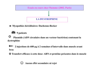 Essais en cours chez l'homme (2002. Paris) LA DYSTROPHINE     Myopathies héréditaires: Duchenne-Becker    9 patients    Plasmide (ADN circulaire dans un vecteur bactérien) contenant la dystrophine    2 injections de 600 µg à 2 semaines d'intervalle dans muscle avant bras ➲   Transfert efficace à cette dose: ARN et protéine présentes dans le muscle ☺   Aucun effet secondaire ni rejet 