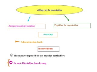 ciblage de la myostatine Anticorps antimyostatine Peptides de myostatine Inconvénients ☹   Ils ne peuvent pas cibler des muscles particuliers Avantage    Administration facile ➲   Ils sont détectables dans le sang 