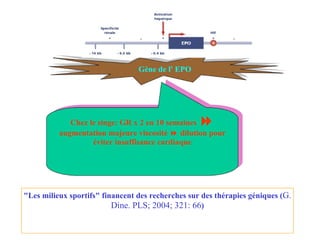 Gène de l' EPO Chez le singe: GR x 2 en 10 semaines    augmentation majeure viscosité     dilution pour éviter insuffisance cardiaque "Les milieux sportifs" financent des recherches sur des thérapies géniques ( G. Dine. PLS; 2004; 321: 66 ) 